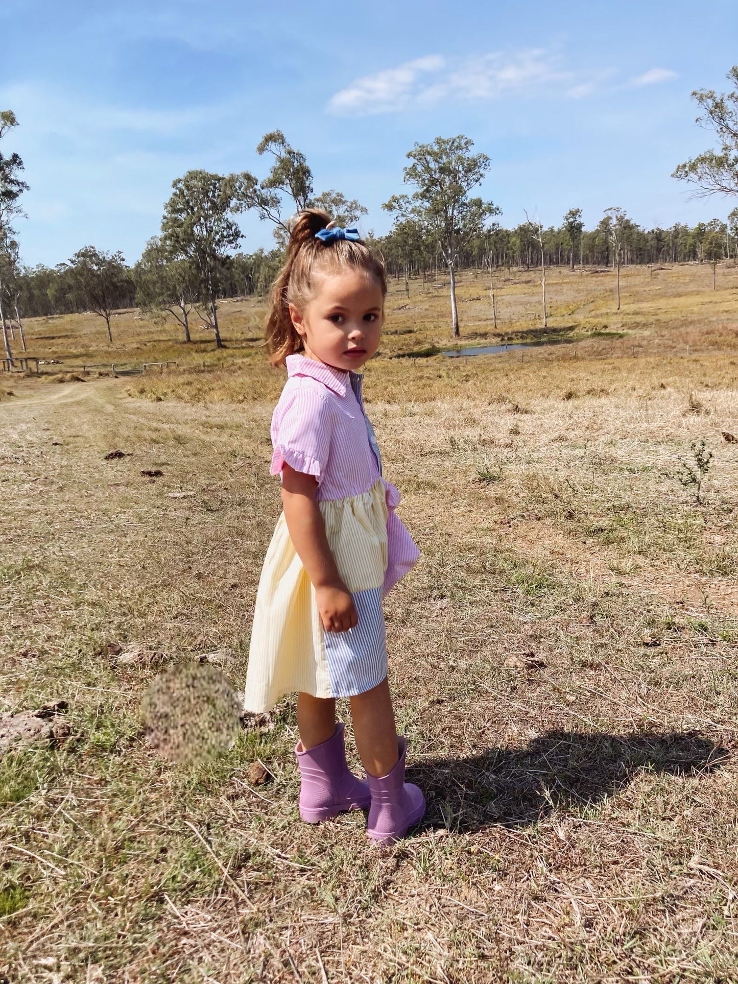 Baby Girl Colour Block Dress